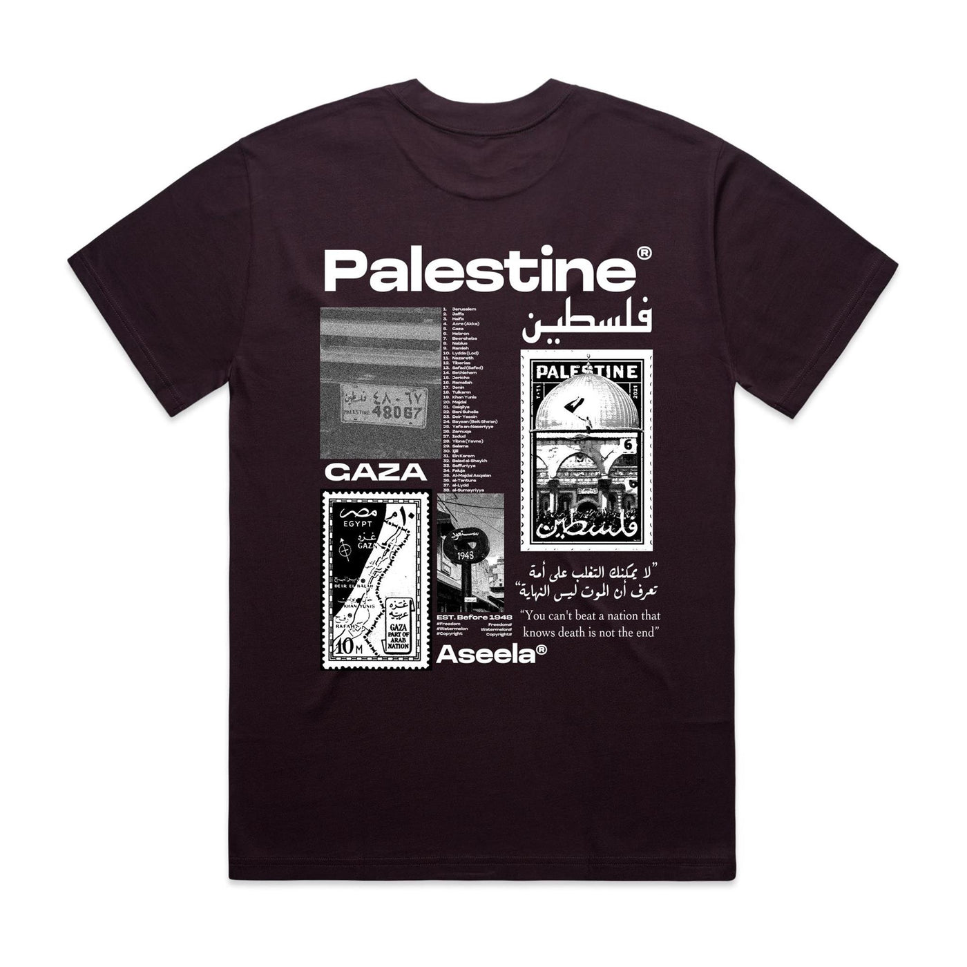 Oversized Palestinian Tee