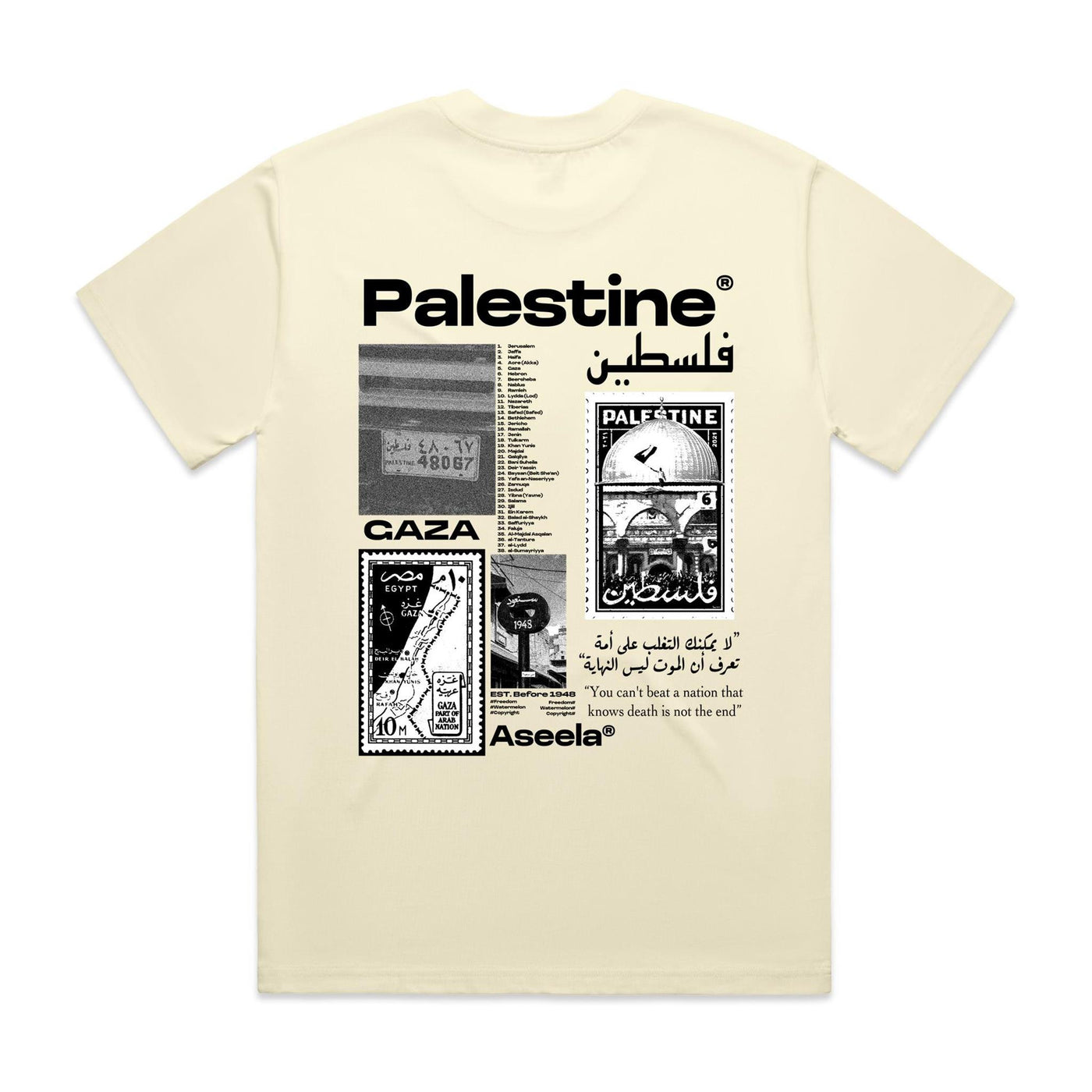 Oversized Palestinian Tee